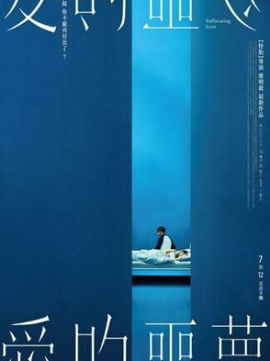热播内容